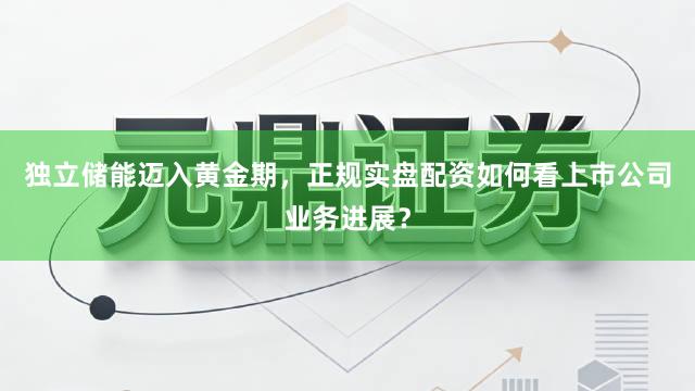 独立储能迈入黄金期，正规实盘配资如何看上市公司业务进展？