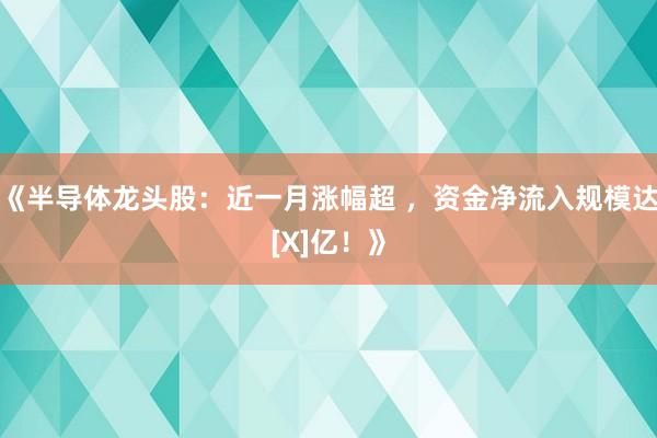 《半导体龙头股：近一月涨幅超 ，资金净流入规模达[X]亿！》