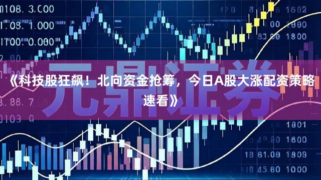 《科技股狂飙！北向资金抢筹，今日A股大涨配资策略速看》