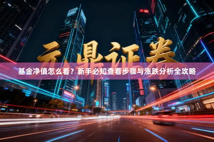 基金净值怎么看？新手必知查看步骤与涨跌分析全攻略