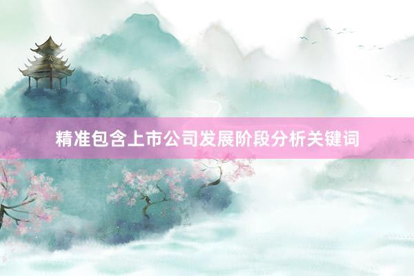 精准包含上市公司发展阶段分析关键词