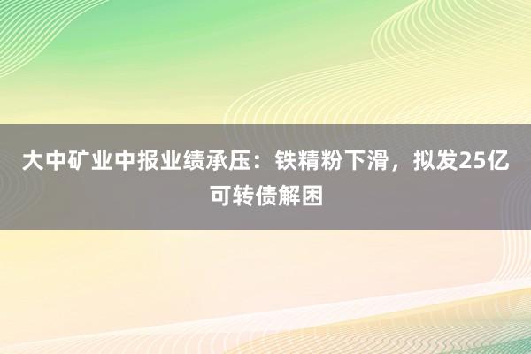 大中矿业中报业绩承压：铁精粉下滑，拟发25亿可转债解困