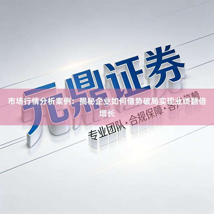 市场行情分析案例：揭秘企业如何借势破局实现业绩翻倍增长