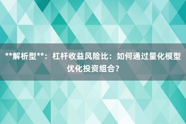 **解析型**：杠杆收益风险比：如何通过量化模型优化投资组合？