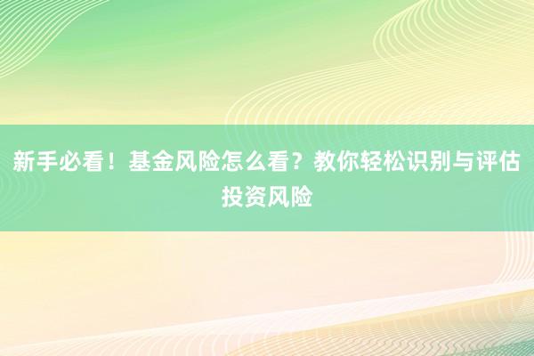 新手必看！基金风险怎么看？教你轻松识别与评估投资风险