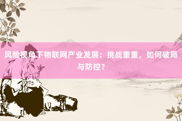 风险视角下物联网产业发展：挑战重重，如何破局与防控？