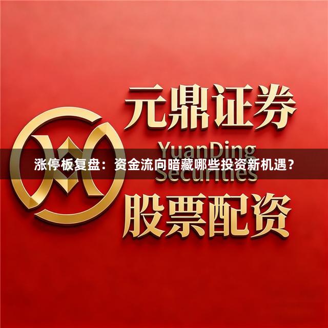 涨停板复盘：资金流向暗藏哪些投资新机遇？