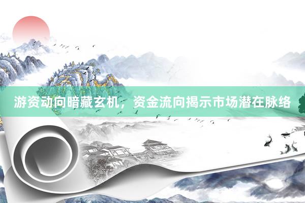 游资动向暗藏玄机，资金流向揭示市场潜在脉络