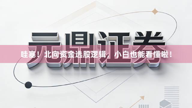哇塞！北向资金选股逻辑，小白也能看懂啦！