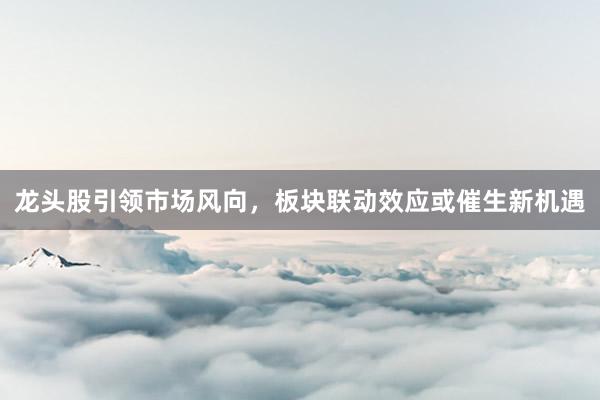龙头股引领市场风向,板块联动效应或催生新机遇