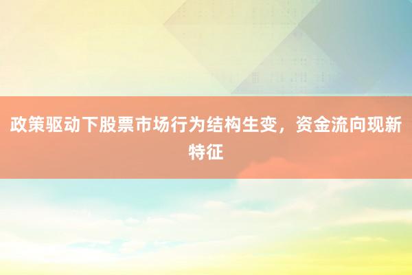 政策驱动下股票市场行为结构生变，资金流向现新特征